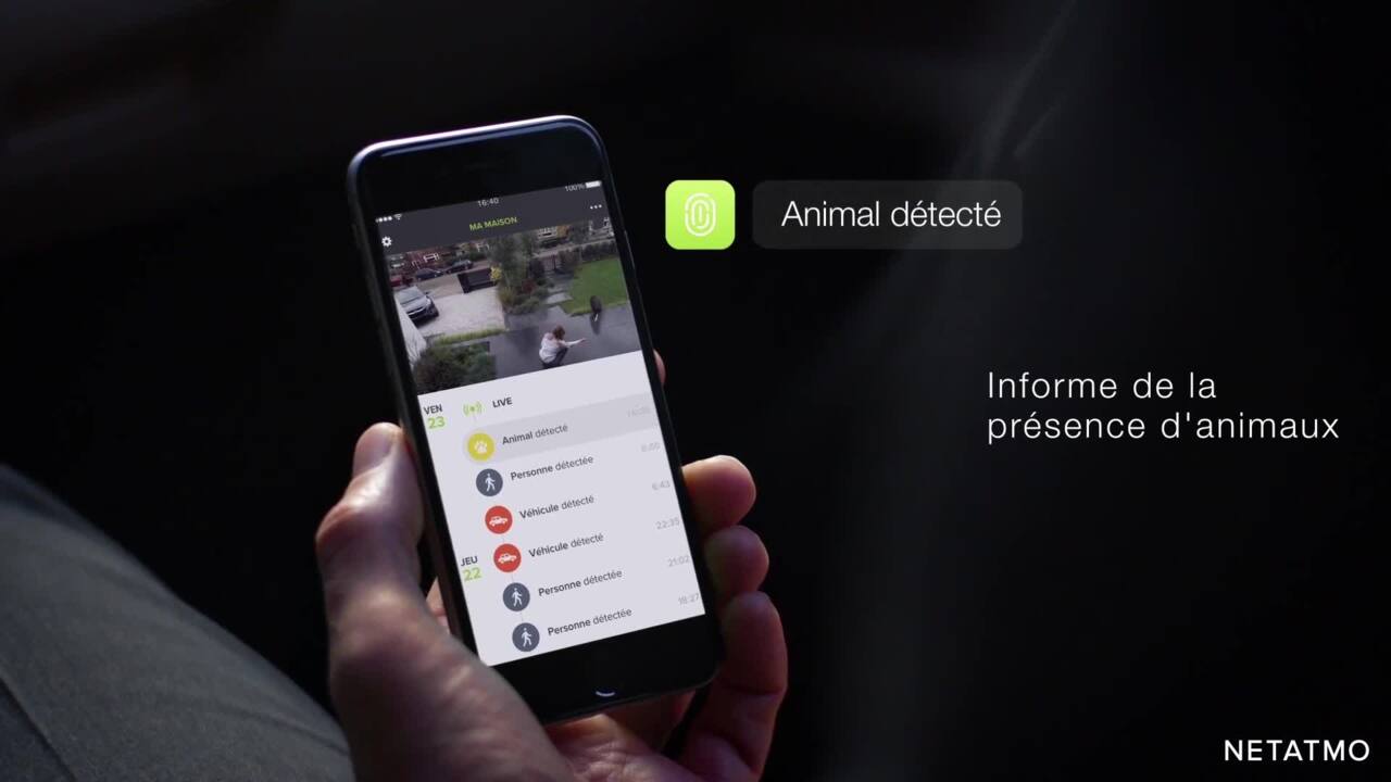 NOC-PRO Caméra Extérieure Intelligente et connectée Netatmo projecteur LED  inclus et alerte sur smartphone - alu/noir - professionnel
