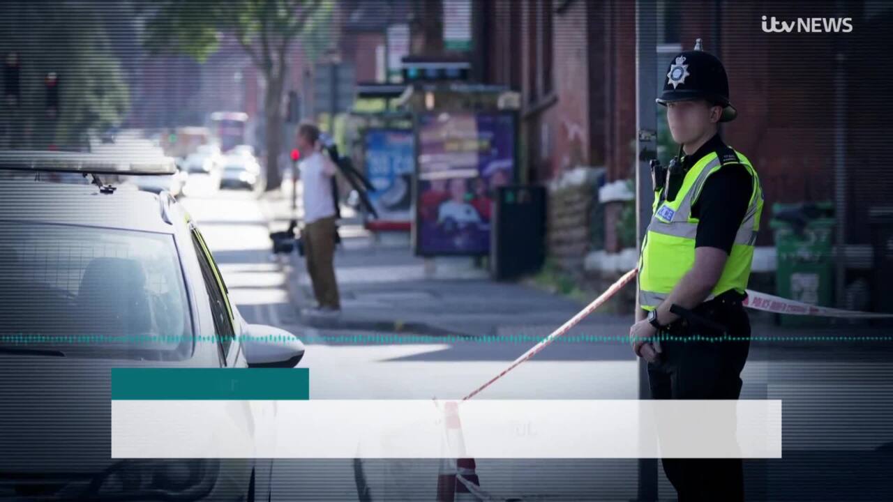 Man charged in Birmingham teen pedestrian deaths | bienpincherico News 3