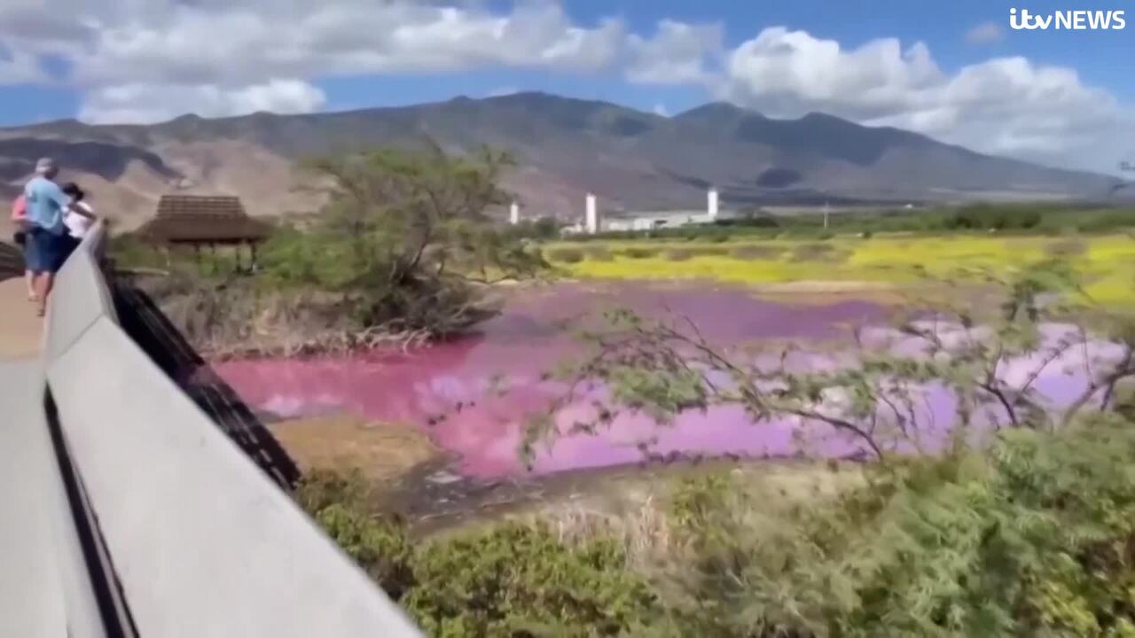 Wildlife refuge pond in Hawaii mysteriously turns bright pink