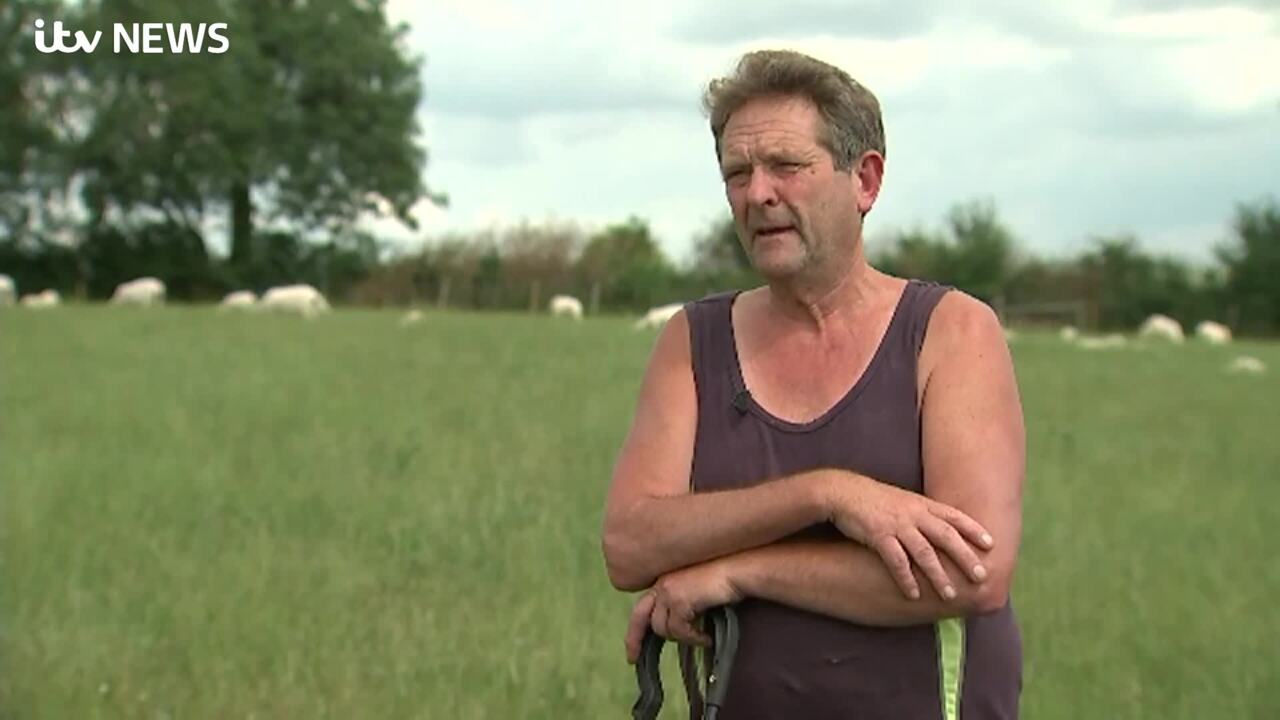 Goat yoga craze hits Suffolk