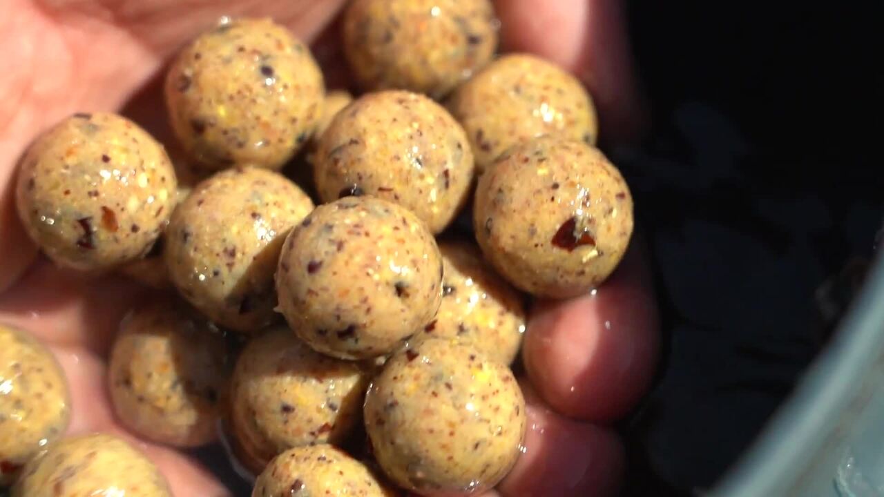 Caperlan Carp Fishing Boilies Naturalseed 24mm 2kg - Scopex - One Size