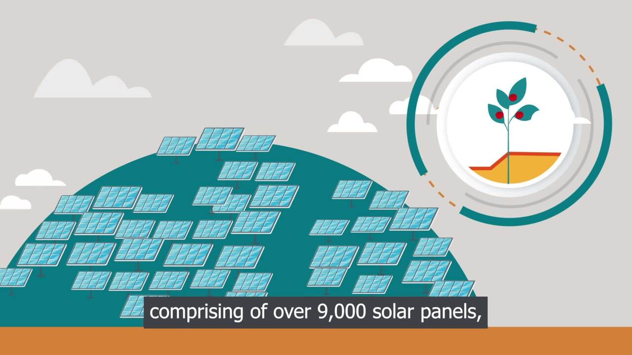 Environmental Direction Animation - External