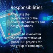 Internal SAP Consultant FI/CO (F/M)