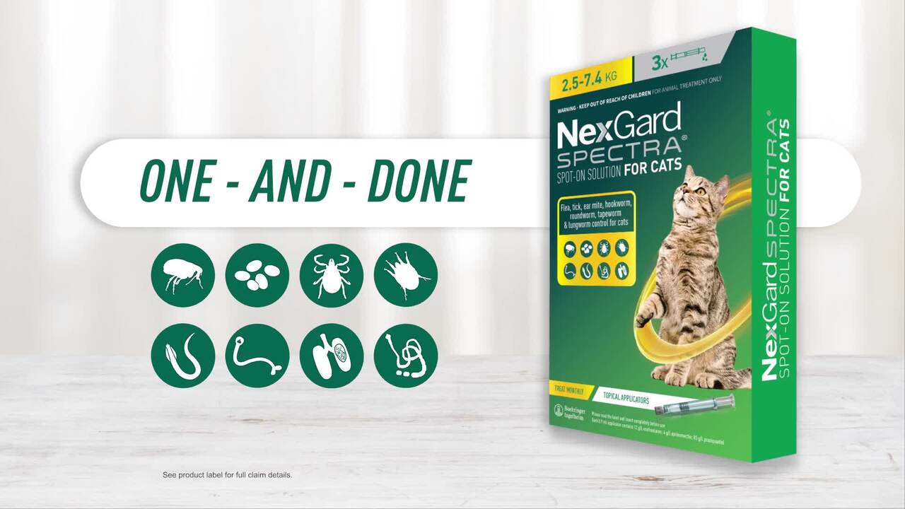 Nexgard on sale spectra lungworm