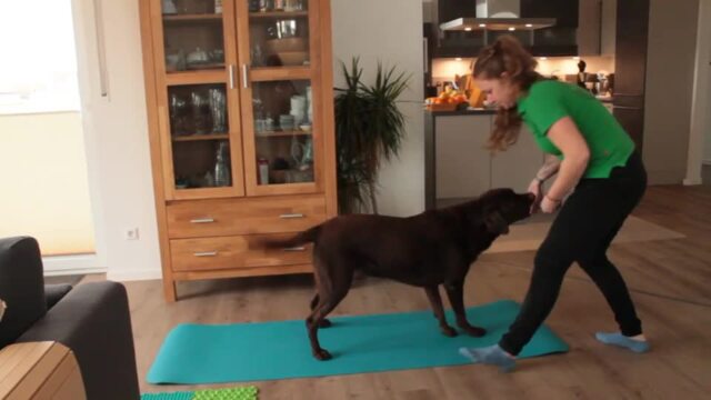 Tierphysiotherapeutin Maria Methling mit Hund Maks