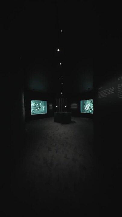 グラフ65周年｜特別展｜グラフ