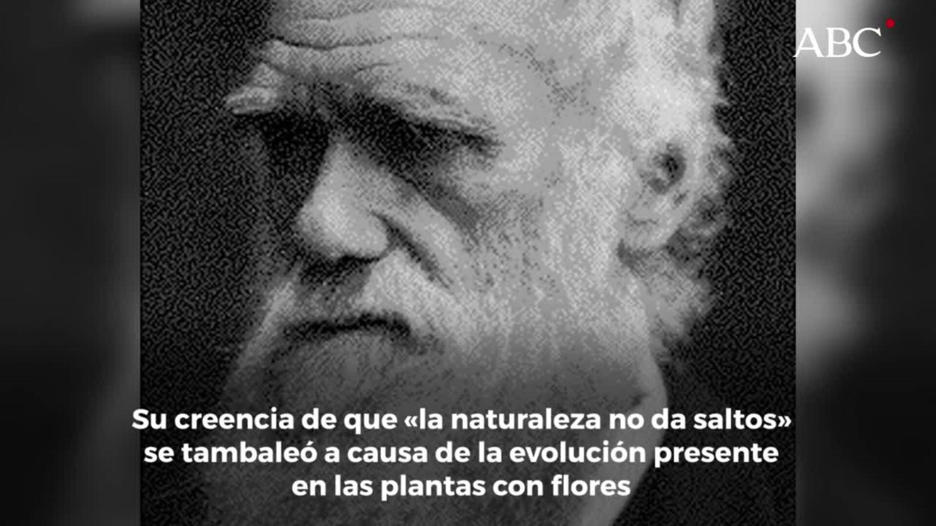 La obsesión que Darwin desarrolló por la evolución de las plantas con flores y que contradecía sus teorías