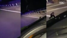 Persecución de película de una ambulancia a un tráiler robado por un conductor que huyó en plena carrera