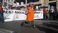 Manifestación de agricultores en Valencia: el grito de auxilio del campo ensordece las calles de la ciudad