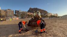 La Noche de San Juan vuelve sin botellón a las playas de Alicante dos años después