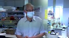 Coronavirus Valencia en directo: la incidencia de la pandemia vuelve a bajar tras el puente festivo