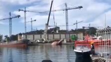 «Acaban de dejar sin electricidad el puerto porque se les ha caído una ballena de 47 toneladas encima de un cuadro eléctrico»