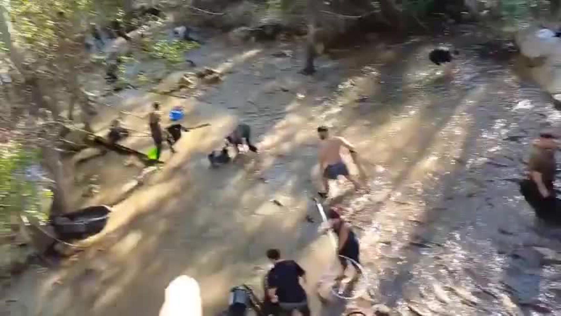 El cierre del canal entre Entrepeñas y Buendía deja atrapados a miles de peces sin agua para subsistir