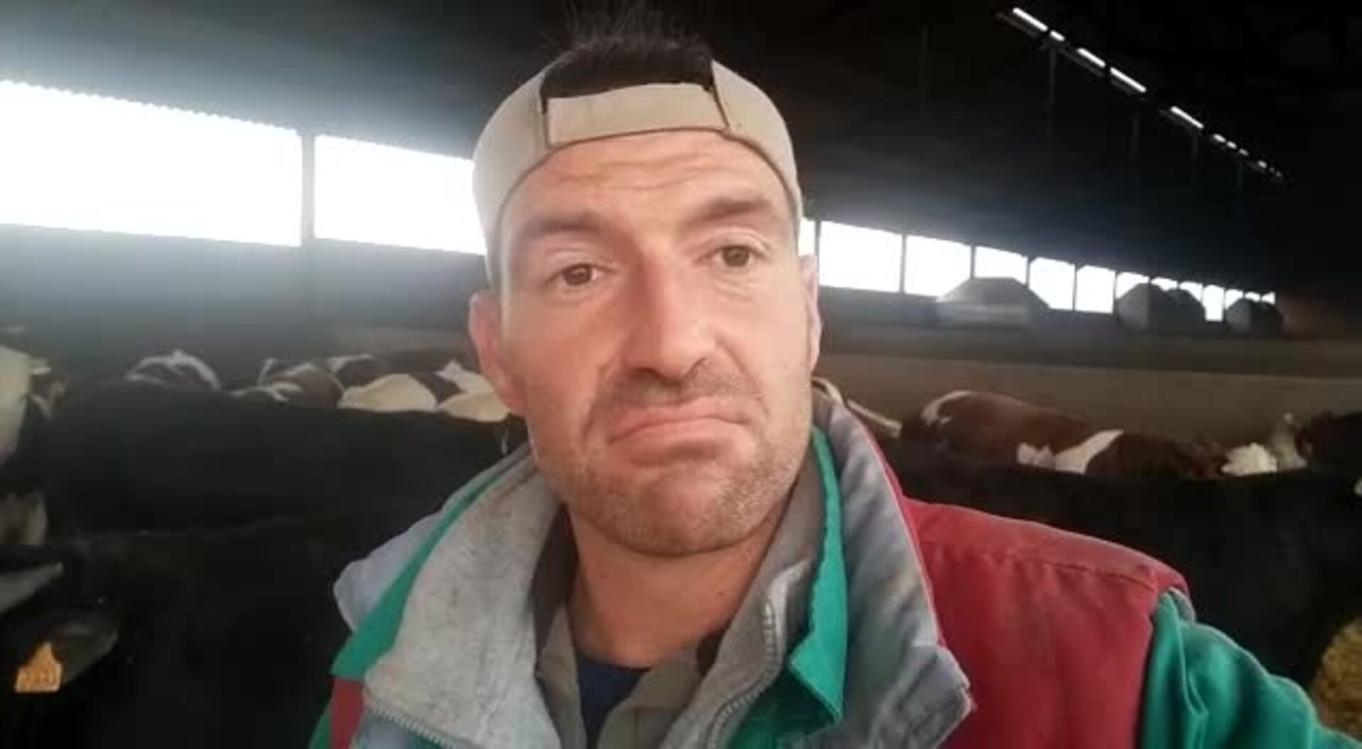 Oiga la experiencia de un ganadero toledano