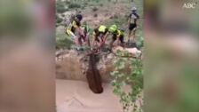 Unos ciclistas salvan a un ciervo a punto de ahogarse en Granada