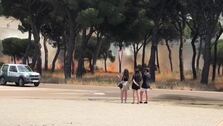 Un incendio en Simancas (Valladolid) calcina de momento más de 30 hectáreas de arbolado