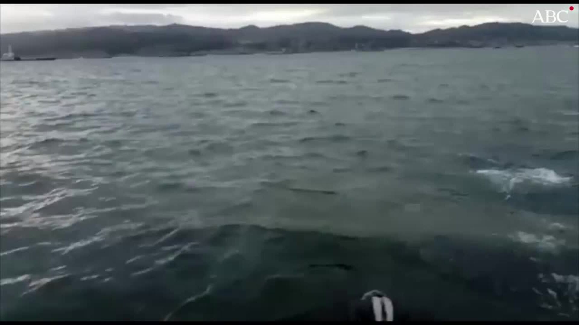 Así es el narcosubmarino que podía transportar hasta 4.000 kg de droga