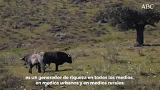 Victorino Martín: «No abundan los bravos entre los políticos y el Congreso parece una escuela de parvulitos»
