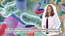 «La hinchazón abdominal después de comer se da por la alteración en la microbiota»