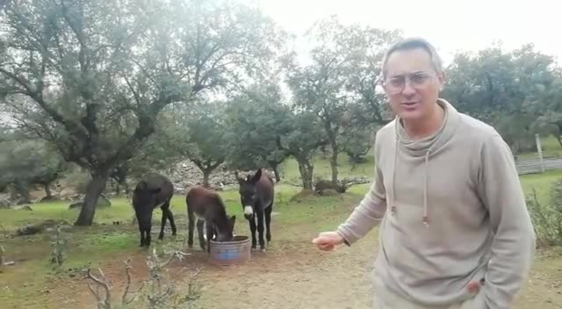 El presidente vecinal explica las razones del ofrecimiento del burro a Greta Thumberg