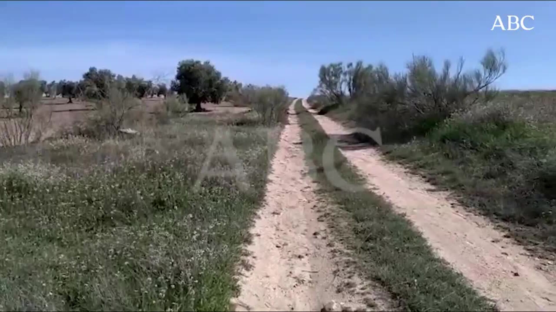 El paraje donde fue hallado el cuerpo sin vida de Teodora en Almonacid de Toledo