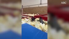 El fallido salto mortal de Almeida en la inauguración de un pabellón de gimnasia