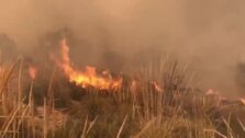 Extinguido el incendio forestal de Beneixama
