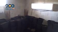 Liberadas 18 mujeres víctimas de explotación sexual