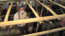Los Reyes visitan una granja en apoyo a los agricultores y ganaderos españoles