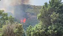 Se queman 100 hectáreas en el incendio de El Real de San Vicente