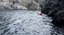 El rescate en kayak de una oveja en un barranco de gran altura