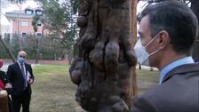 La Real Cabaña de Carreteros deja en la Moncloa una talla de madera que reclama la importancia de los bosques
