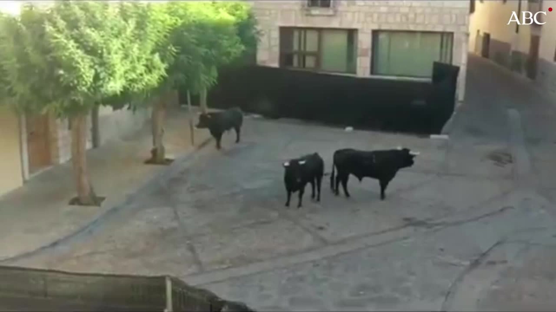 Vídeo: @HacemosGuada