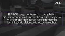 Sexo contra género: el lenguaje de Podemos que provoca (por segunda vez) el rugido feminista de Ferraz