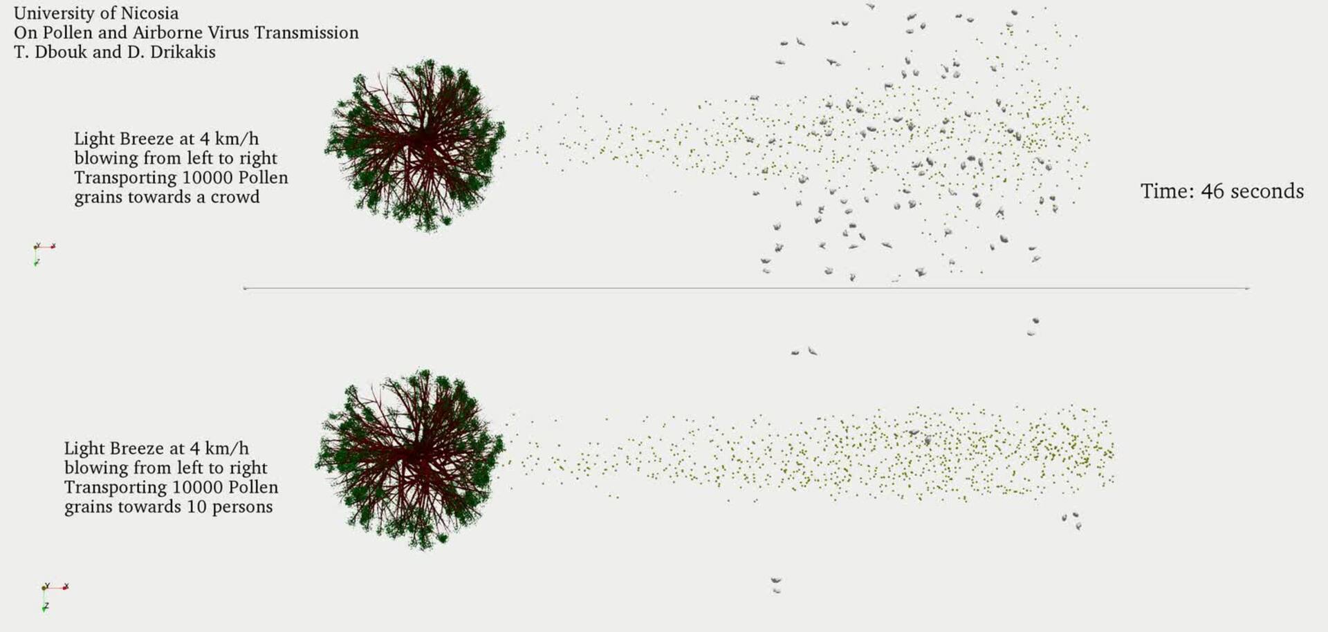 El importante papel del polen como transmisor del coronavirus