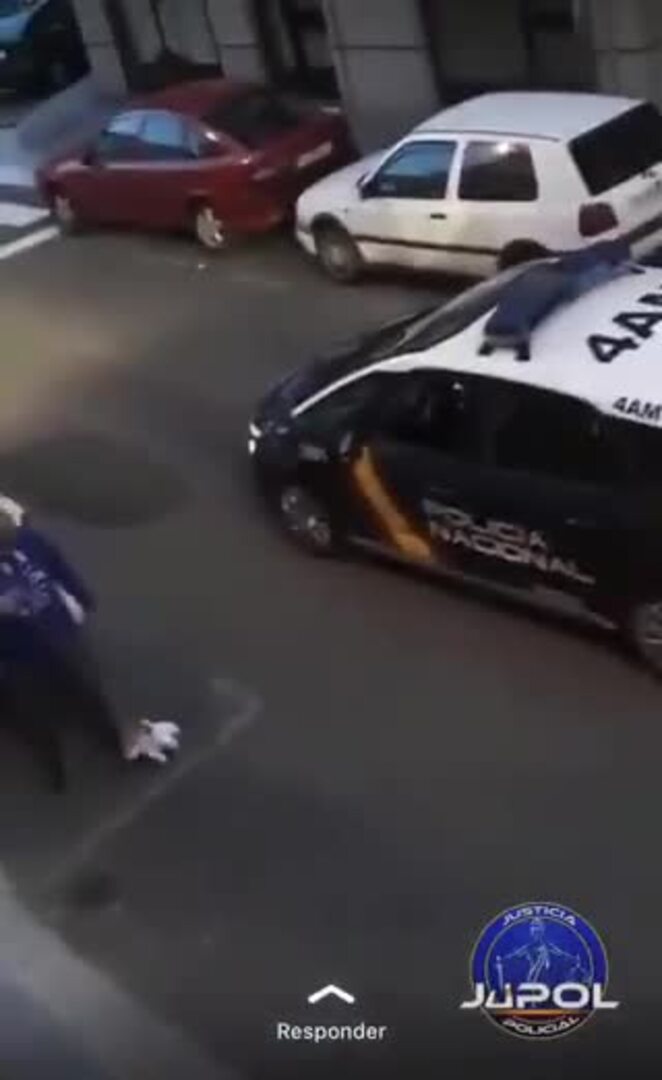 La Policía apercibe a un hombre que paseaba un perro de peluche en Palencia