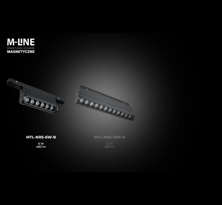 Łącznik zasilający M-Line I czarny 1F DPM - Leroy Merlin