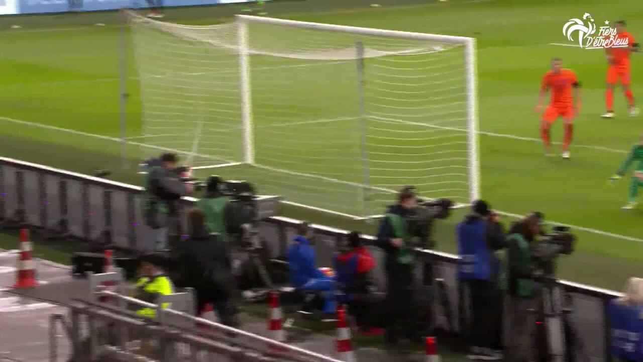 Le but de Blaise Matuidi face aux Pays Bas !