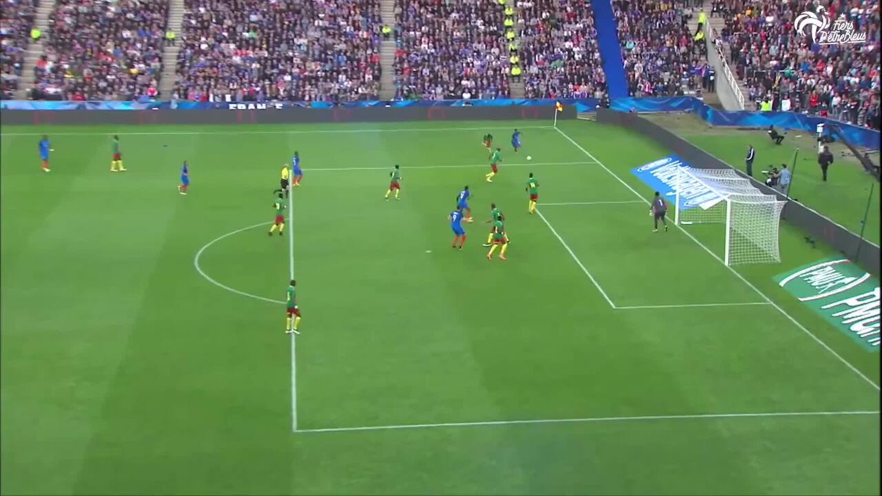 France - Cameroun, le but de Blaise Matuidi