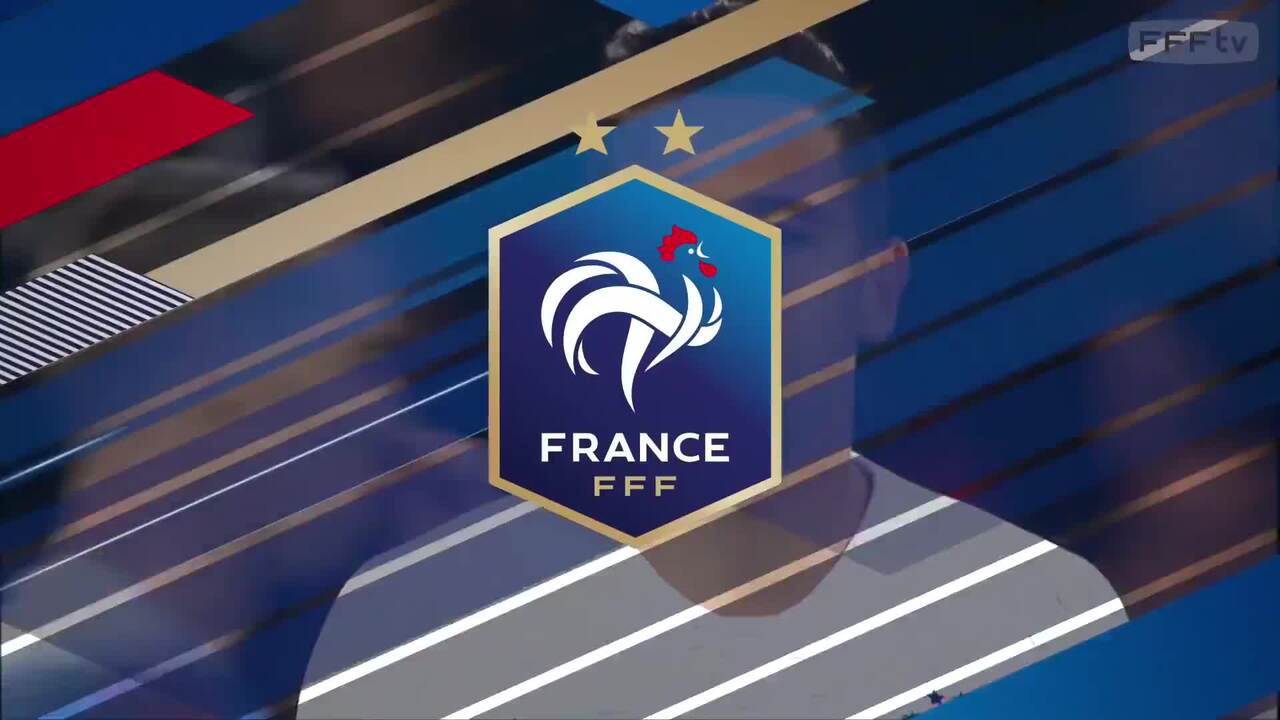 France-Islande (2-2), le résumé, Équipe de France