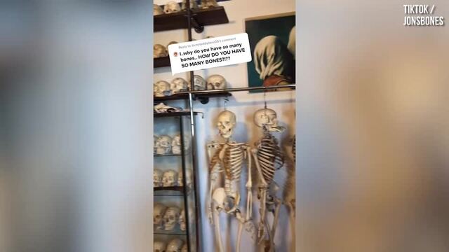 This TikToker has gone viral for selling human bones - PopBuzz