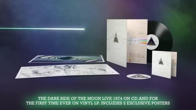 LP Vinile 33 Giri Pink Floyd - The dark side of the moon (Usato)