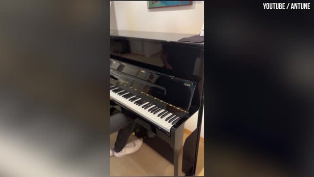 Piano mikroton satu oktaf ini bisa melakukannyaPiano mikroton satu oktaf ini bisa melakukannya  