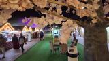 AdnanDubai-video-1654374096785