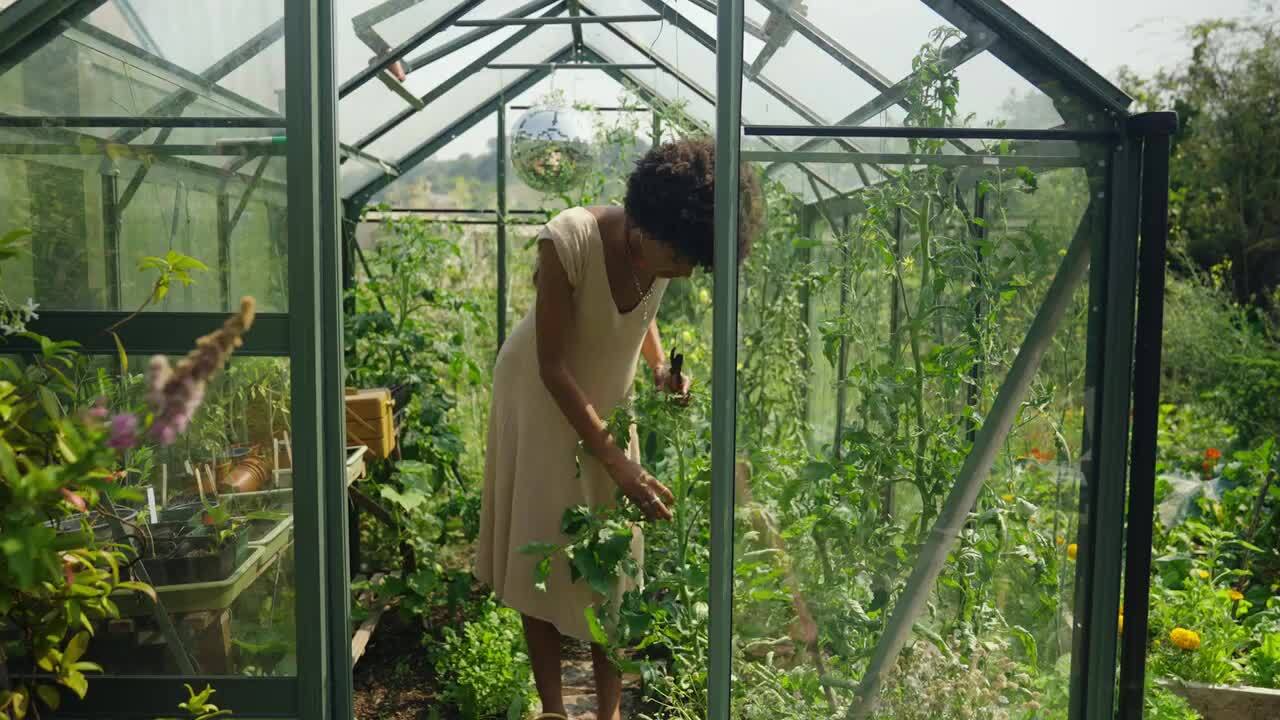 Caring for your plants