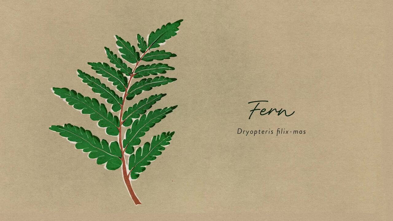 Finding inspiration in the landscape - Part 1