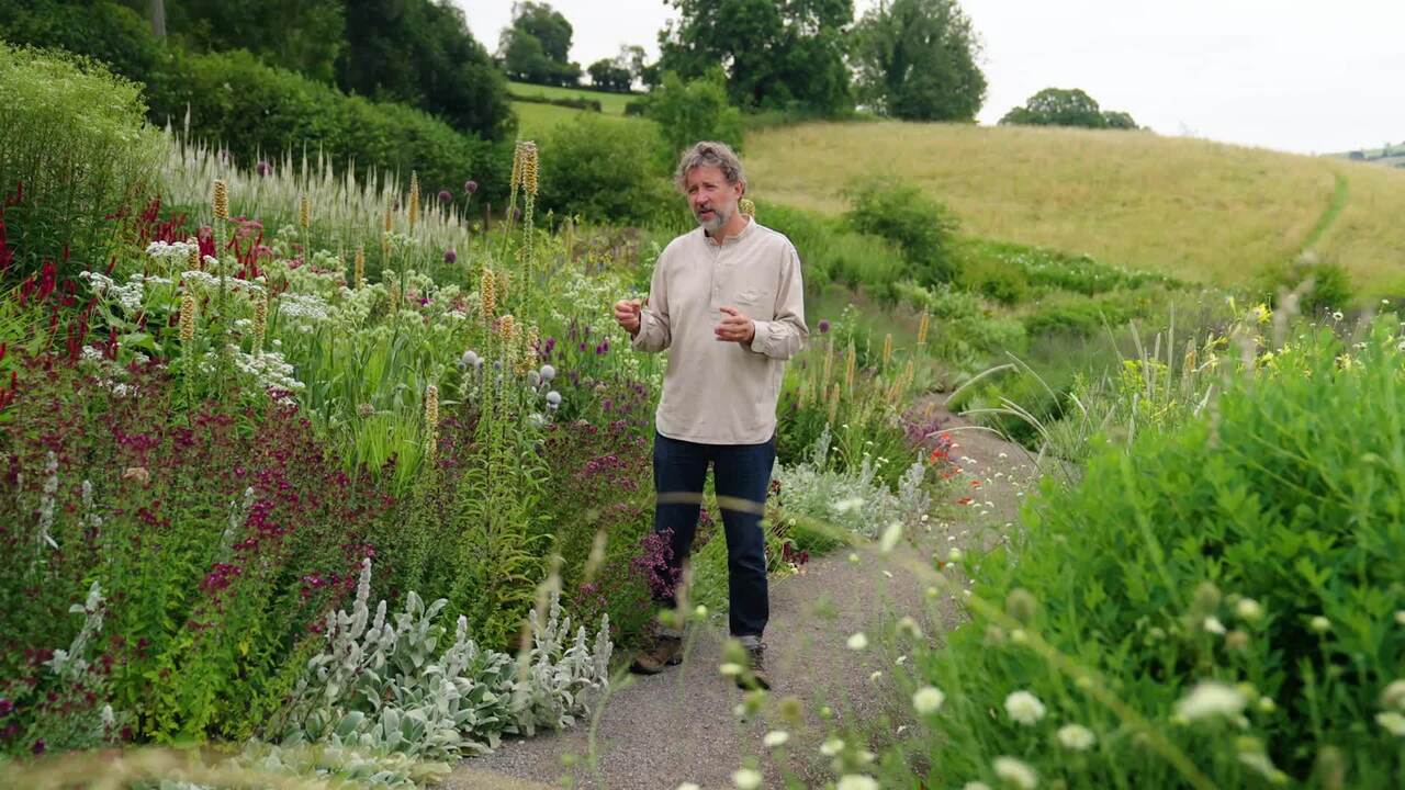 Creating a successful planting scheme