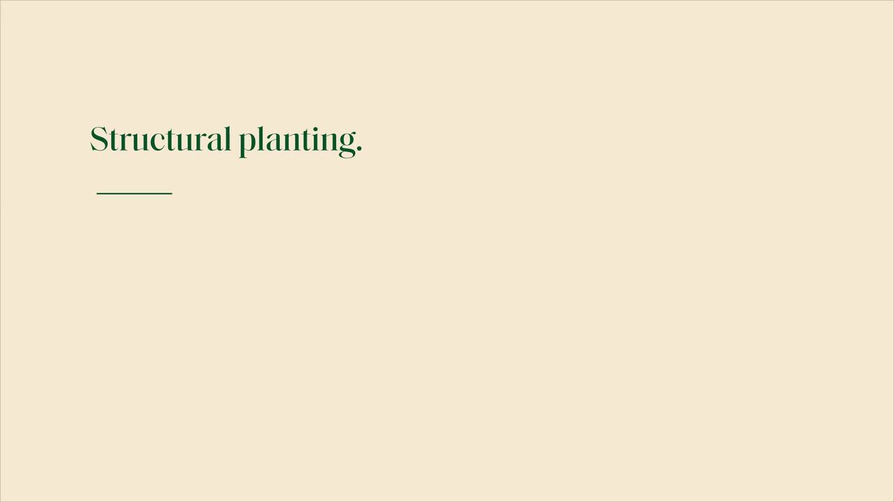 Planting design - creating structure