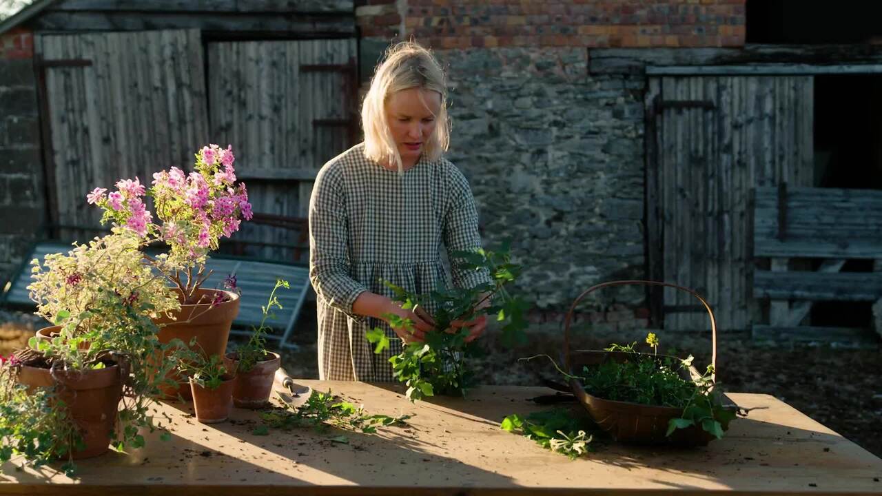 Reviewing your plants