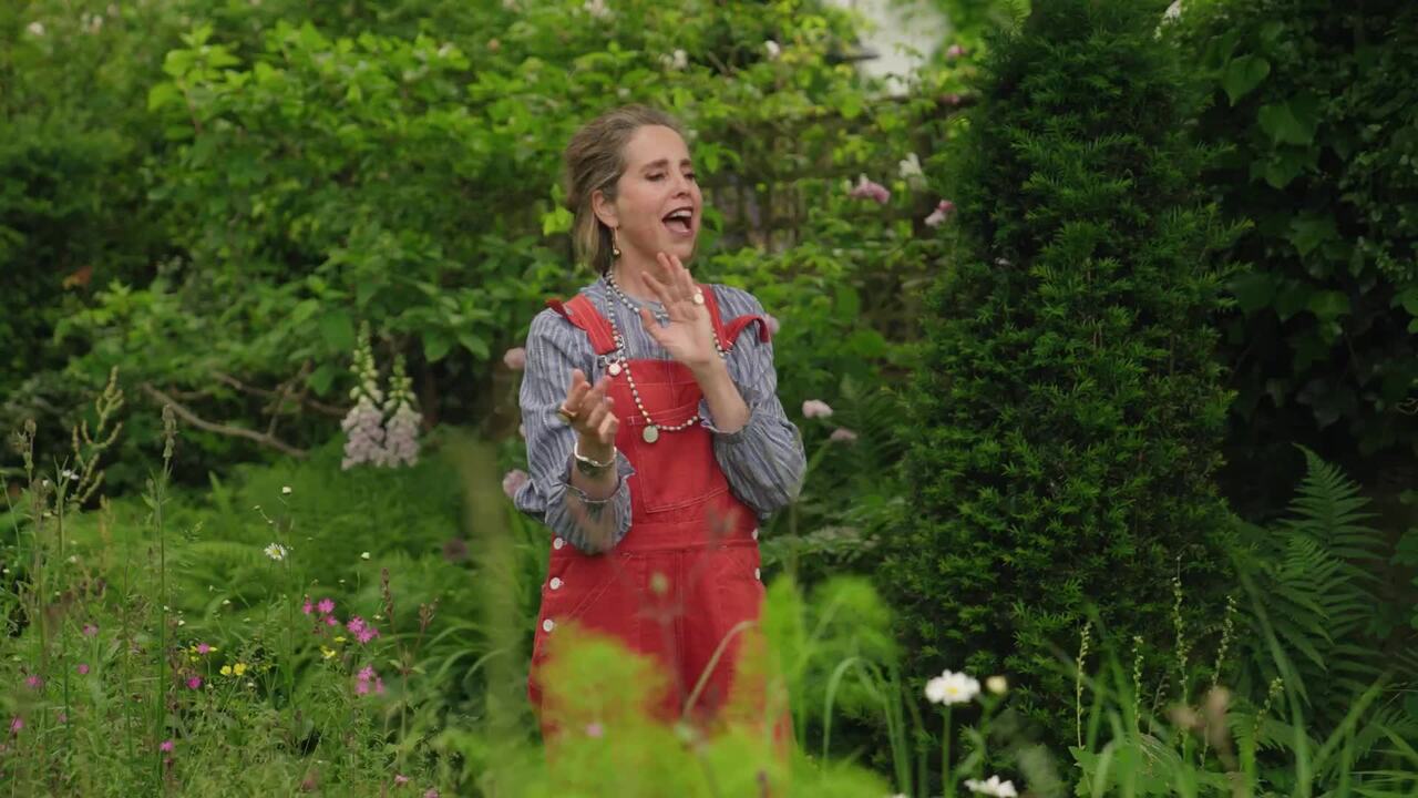 A wild city garden - part 1